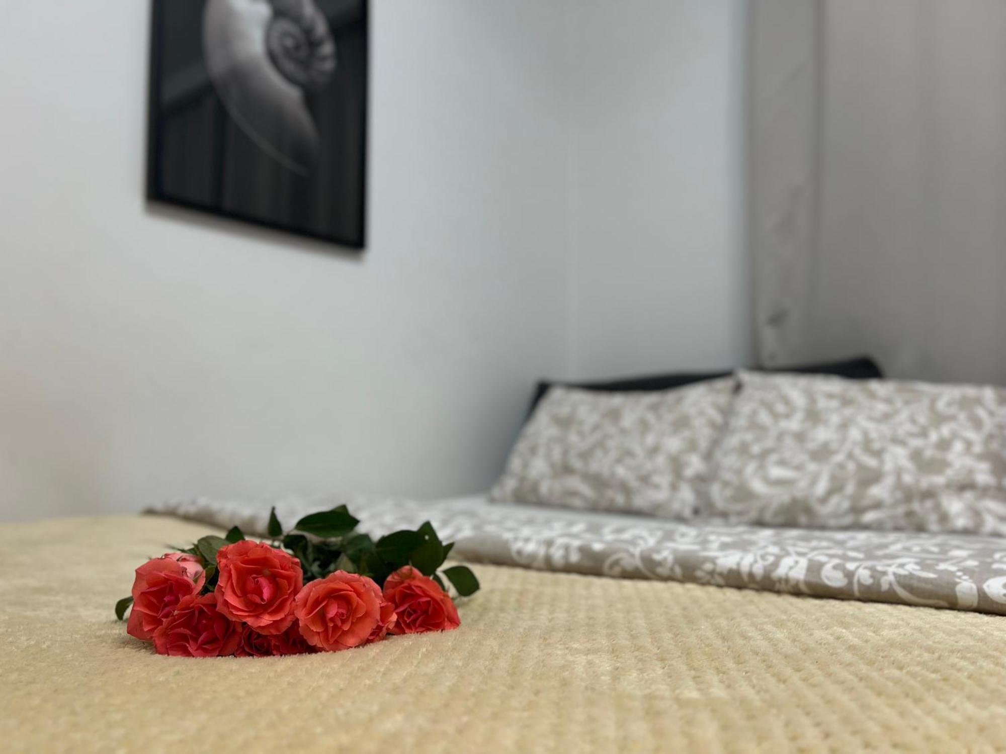 Parkcity Bogucice Karoliny كاتوفيتسه المظهر الخارجي الصورة